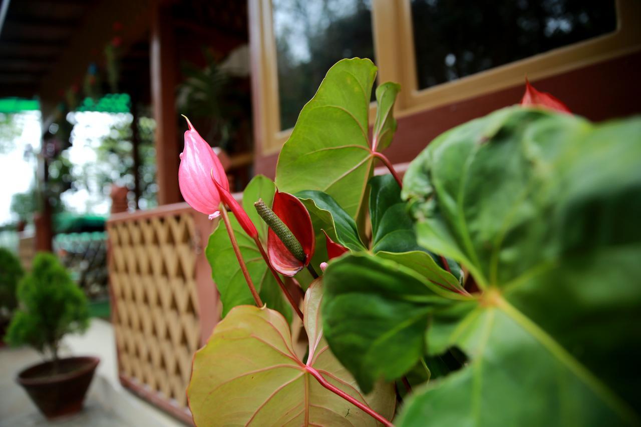Essence Motel Kalaw Extérieur photo